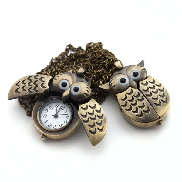 Watch the owl, the long chain of bronze — Stock Photo, Image