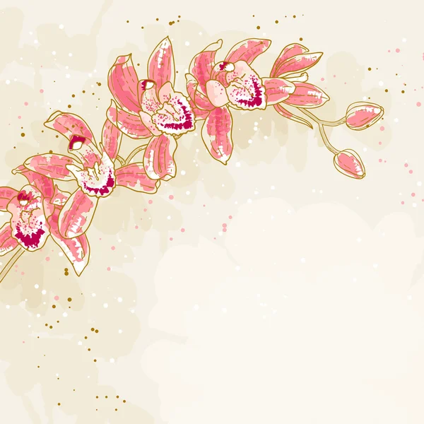 兰花被定调子的背景上的分支 — 图库矢量图片