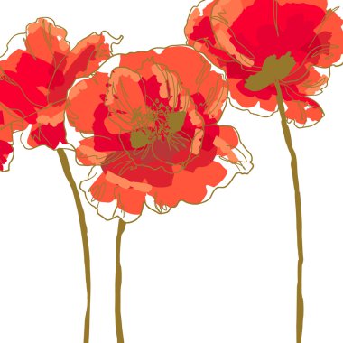 Three flower of poppy clipart