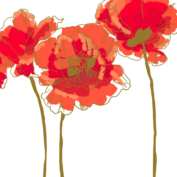 Three flower of poppy — Stock Vector