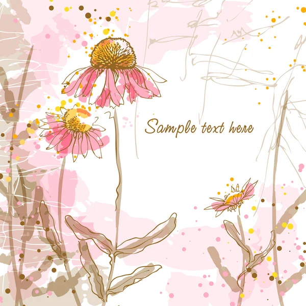 Romantische vector achtergrond met Echinacea — Stockvector