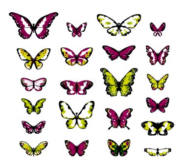 Highly detailed fantasy butterflies clipart