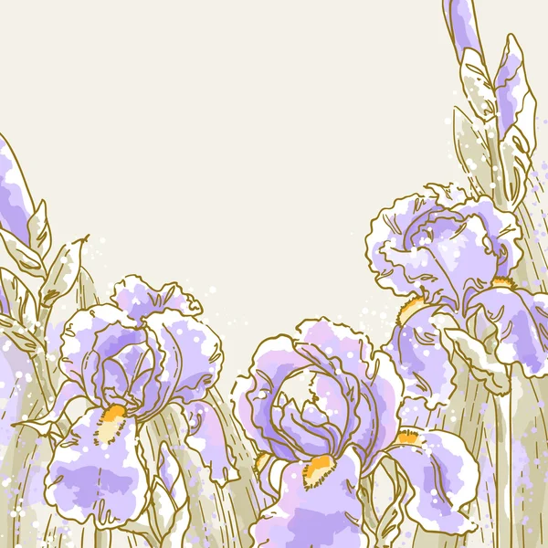 Fondo con flores de Iris — Vector de stock