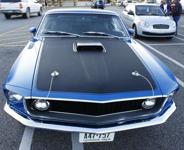 Mustang — Stock Photo, Image