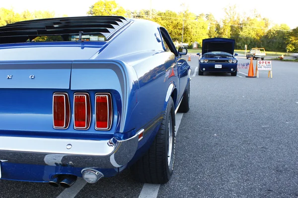 Mustang — Zdjęcie stockowe