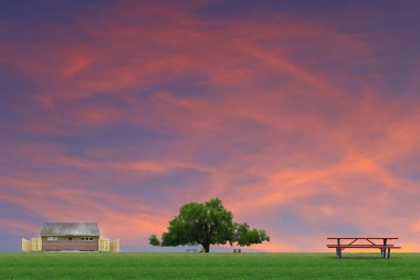 Sunset over the park clipart