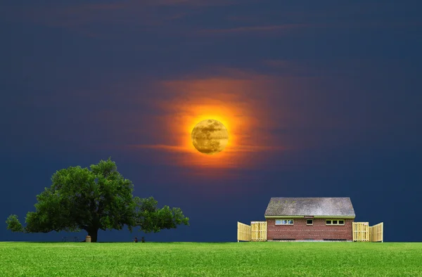 Månen lyser park — Stockfoto