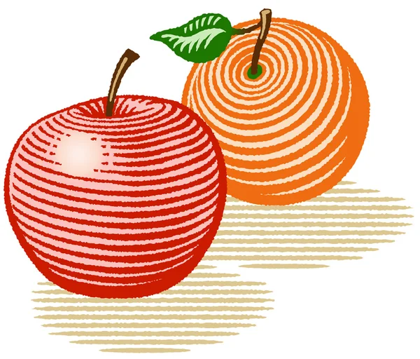 Alma és narancs fametszet stílus — Stock Vector