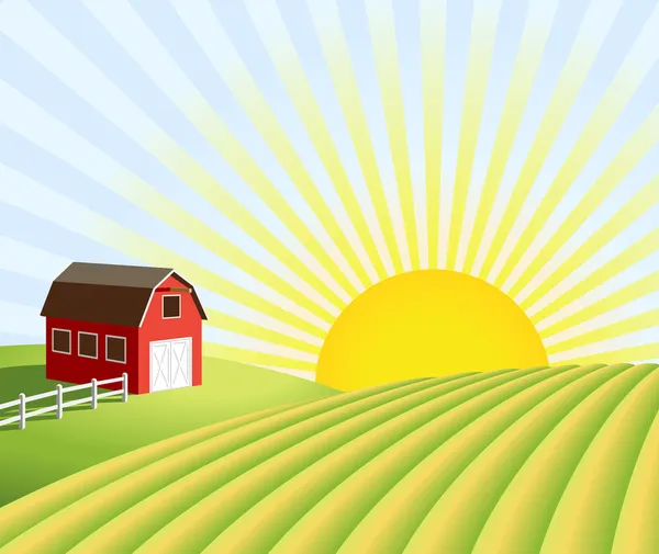 Ferme et champs au lever du soleil — Image vectorielle