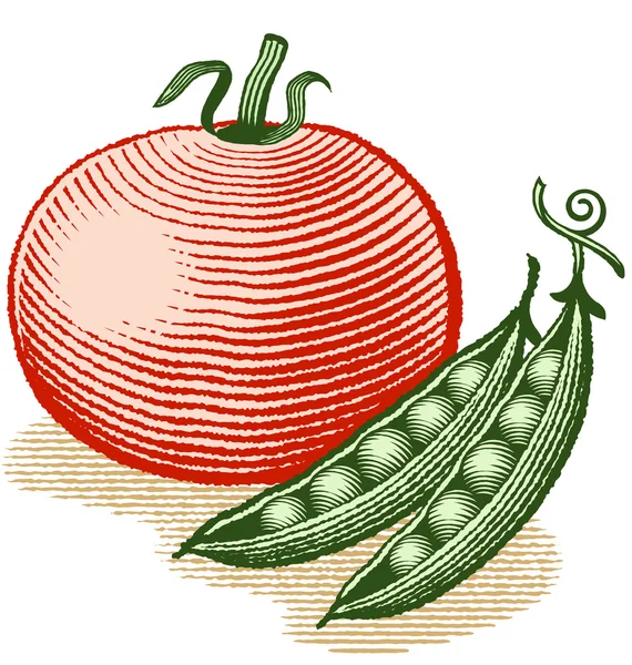 トマトとエンドウ豆 ベクターグラフィックス