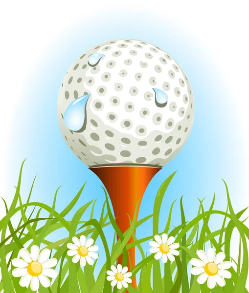 Golf ball on the grass — Stock Vector
