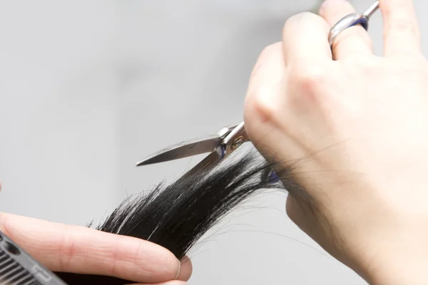 stock image Hairdresser's hands cutting hair.