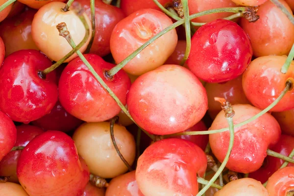 Cereza fruta dulce y fresca dieta saludable alimentos —  Fotos de Stock