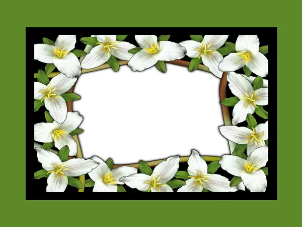 Spring photo frame — Stock Photo, Image