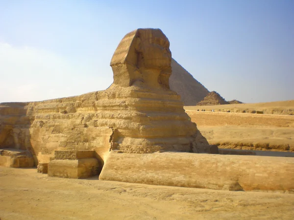Sphinx dans le cairo — Photo