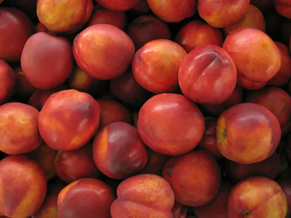 Fruits nectarinés — Photo