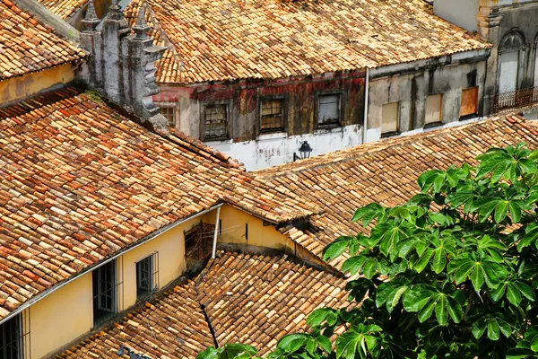 Telhados em Salvador de Bahia — Fotografia de Stock