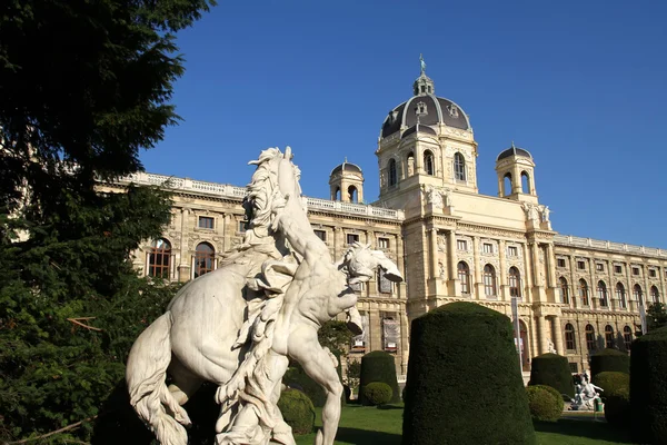 O Museu de História Natural de Viena — Fotografia de Stock