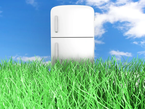 Ökologischer Kühlschrank — Stockfoto
