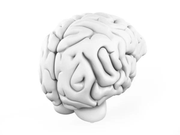 Human Brain — Stock Photo, Image