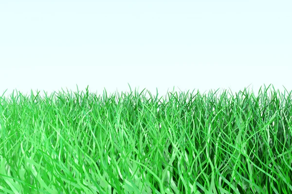 Gras lijn — Stockfoto