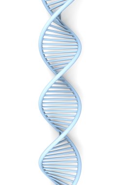 DNA Strand clipart