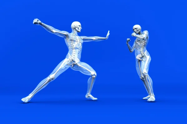 解剖学 - 総合格闘技 — ストック写真