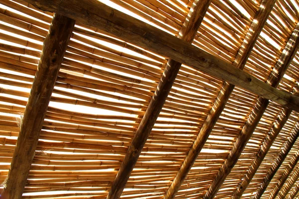Bambusz tető — Stock Fotó