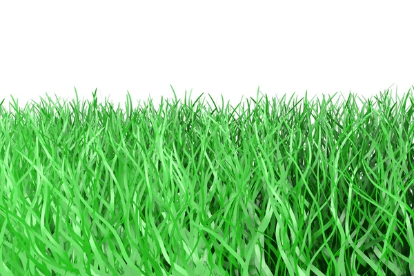 잔디 선 — 스톡 사진