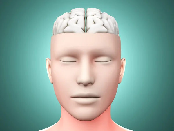 Άνθρωπος του εγκεφάλου — Φωτογραφία Αρχείου