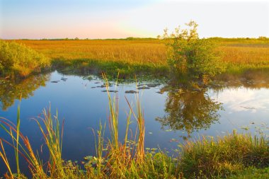 Everglades peyzaj, kanal