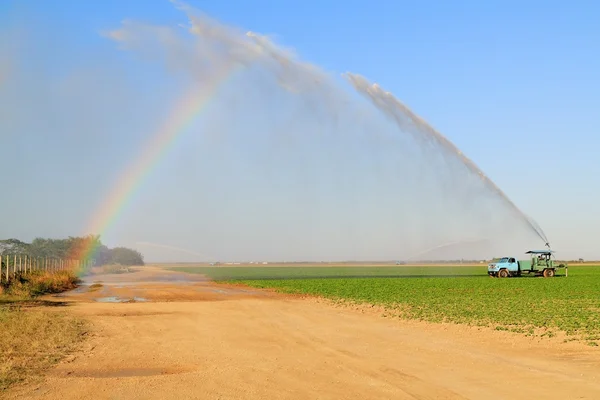 Irrigation Terres agricoles — Photo