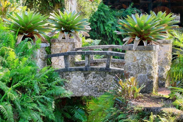 stock image Limestone bridge