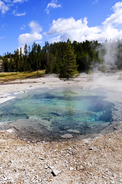 Primavera del cráter, Parque Nacional Yellowstone —  Fotos de Stock