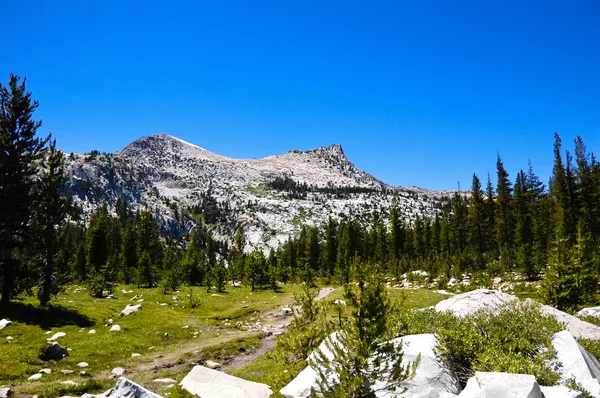 Caminhadas no Parque Nacional de Yosemite — Fotografia de Stock