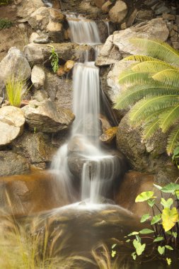 Japanese Zen Garden Stream clipart