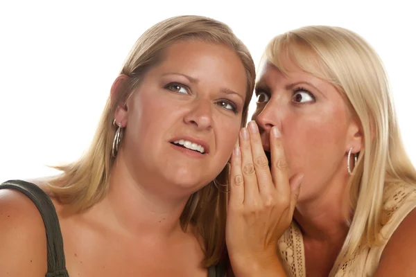 Dwie blond kobieta whispering tajemnice — Zdjęcie stockowe