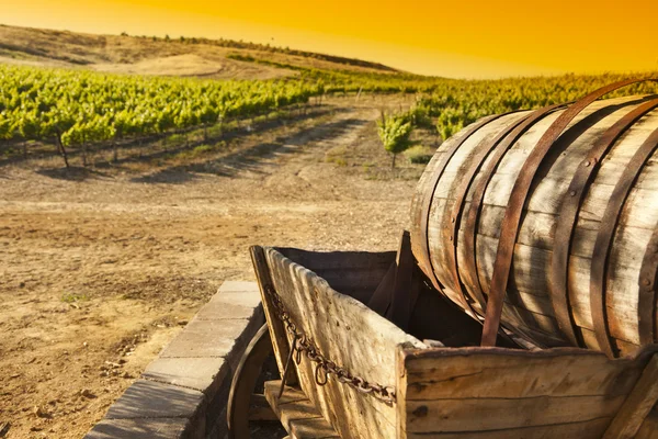 Druif wijngaard met oude vat vervoer wagen — Stockfoto