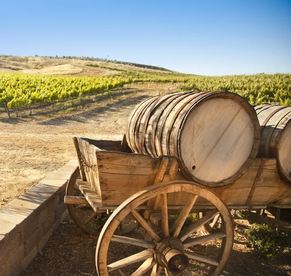 Vinha de uva com vagão de transporte de barril velho — Fotografia de Stock