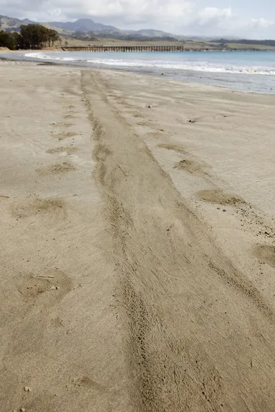 Spur von Elefantenrobbe auf Sand am Meer — Stockfoto