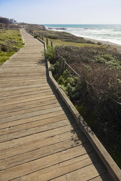 海洋海岸沿线的木制人行道 — 图库照片