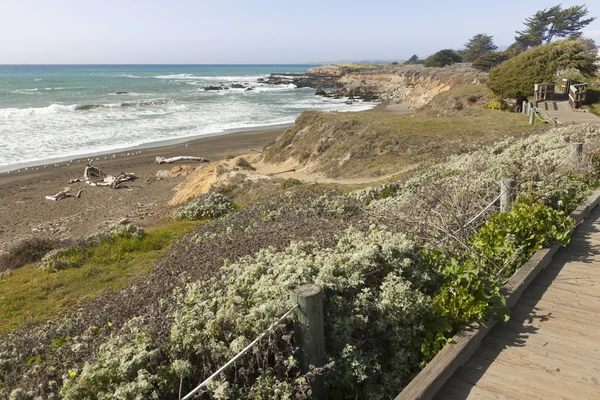 Trä gångväg längs havet kusten — Stockfoto