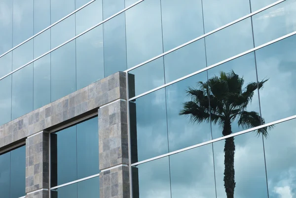 Edifício corporativo abstrato com reflexão em palmeiras — Fotografia de Stock