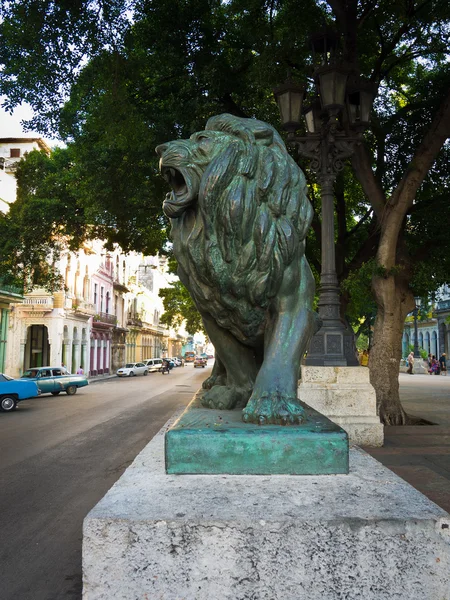 狮子在埃尔 · 普拉多在哈瓦那举行的大道 — 图库照片