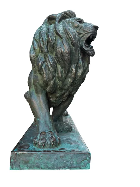 Statua del leone di bronzo isolato su bianco — Foto Stock