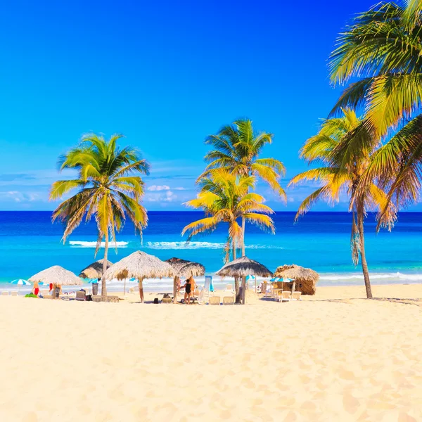 Thatched guarda-chuvas na bela praia de Varadero em Cuba — Fotografia de Stock