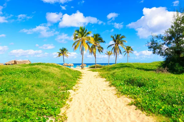 Пляж на Кубе — стоковое фото