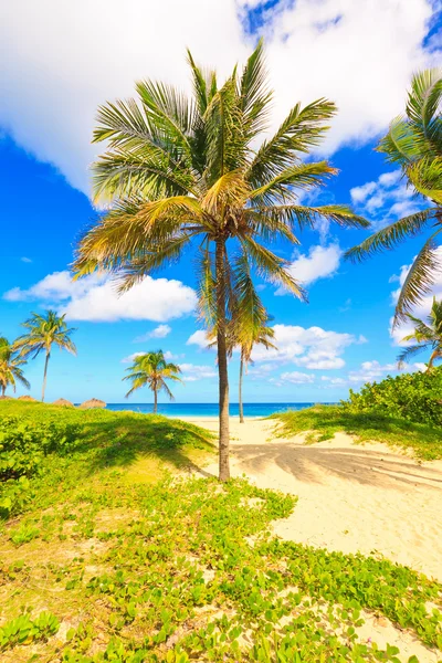 Plaży Varadero Kuba — Zdjęcie stockowe