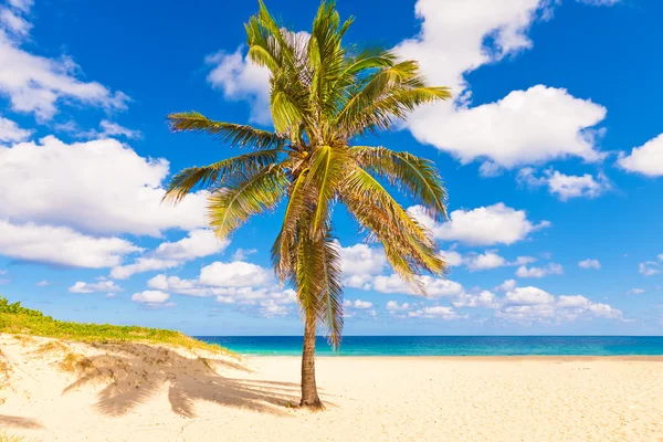 Playa Varadero en Cuba — Foto de Stock