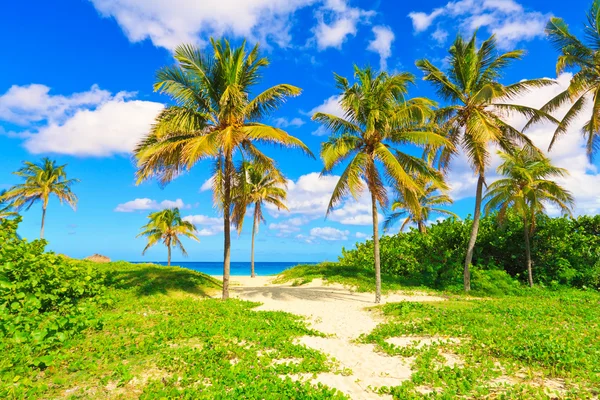 Playa Varadero en Cuba — Foto de Stock